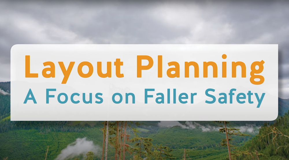 Layout Planning: A Focus on Faller Safety